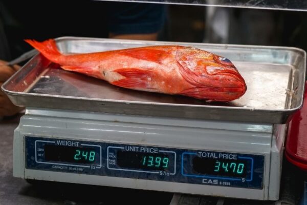 How Label Printing Scales and Electronic Retail Weighing Scales Revolutionize Retail Businesses